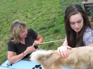 Lorraine Zdeb of Love Your Pet, pet sitters mentors Girl Scout on dog park project at colonial park